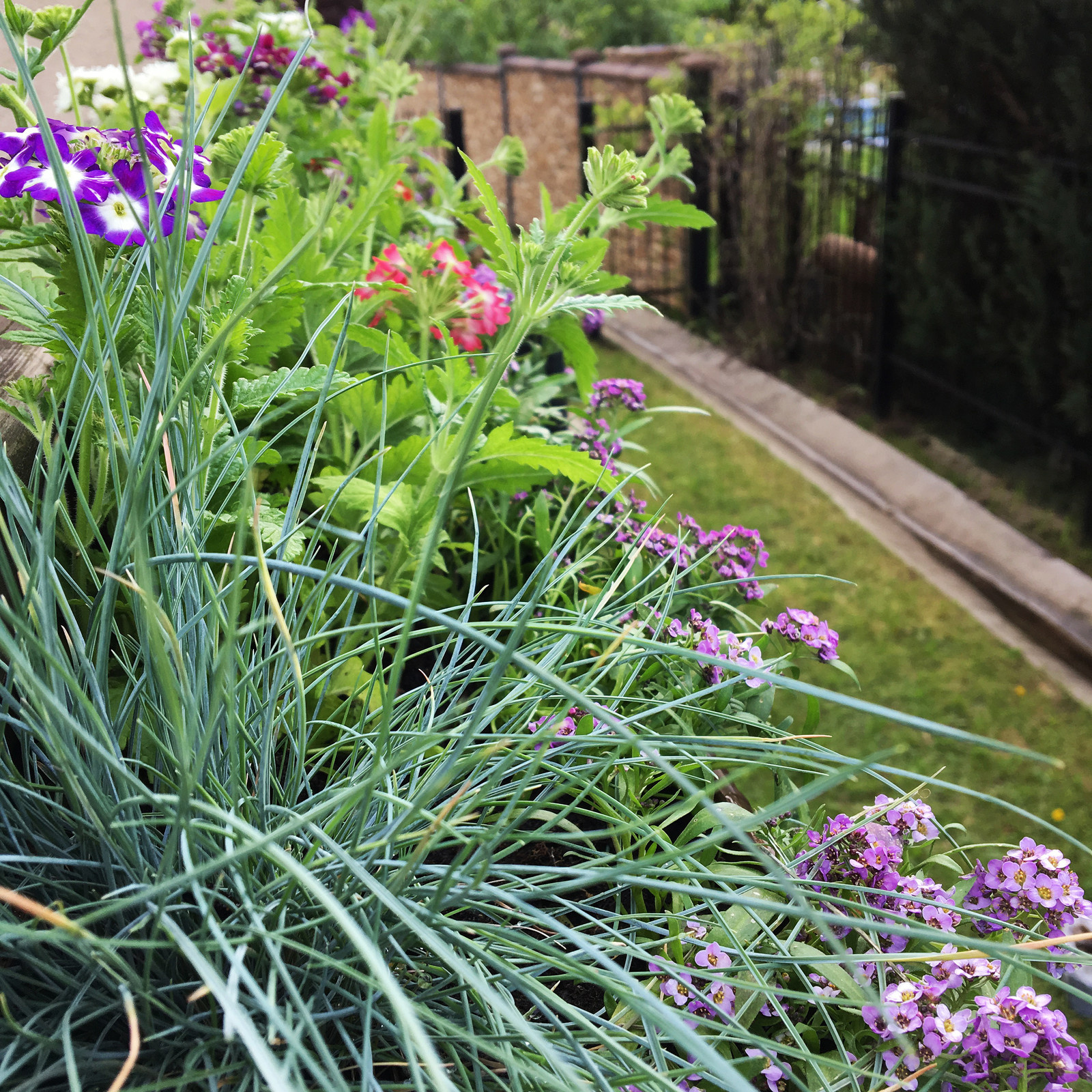 Терраса в Новых Вешках