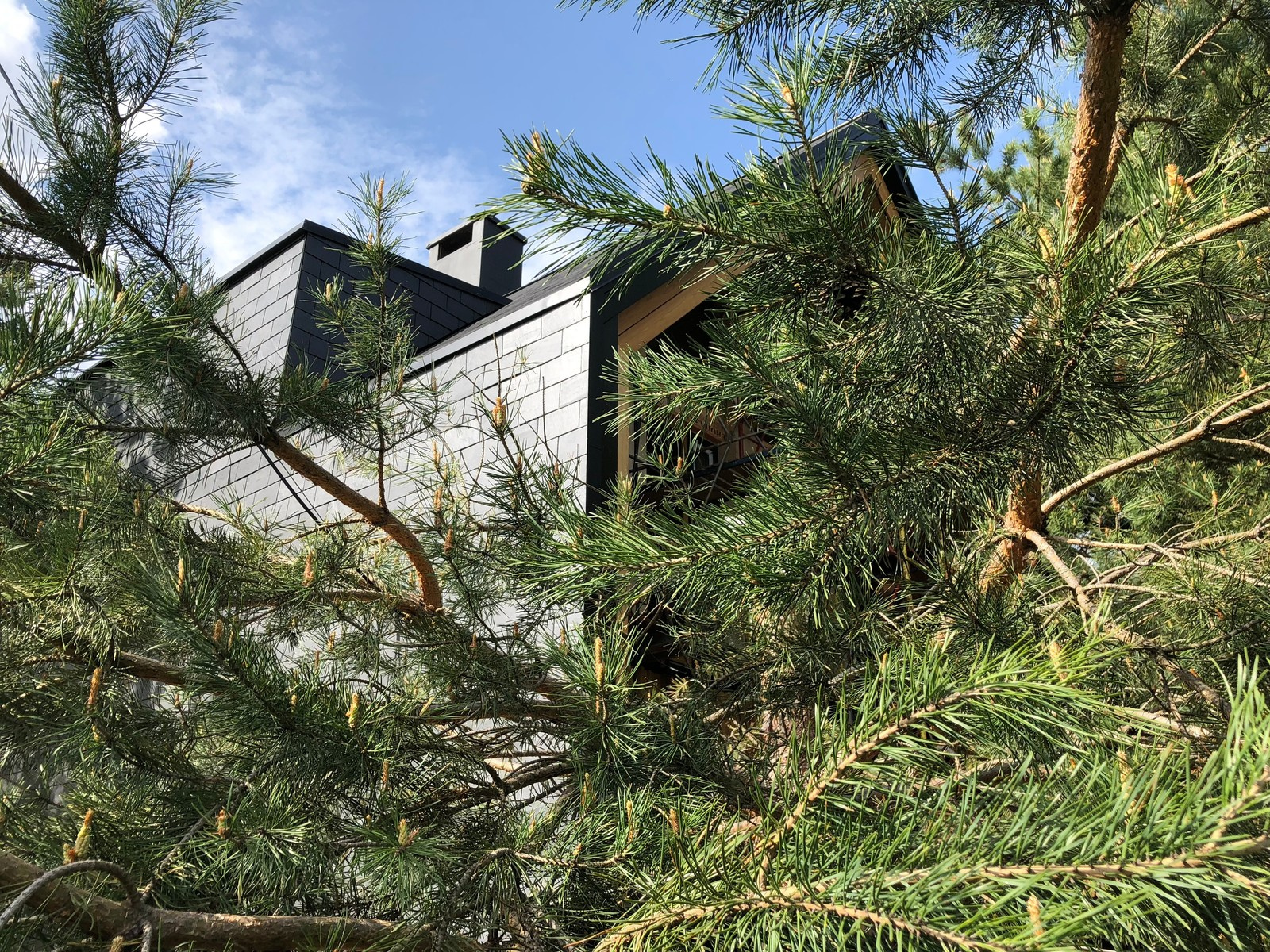 Дом в процессе строительства