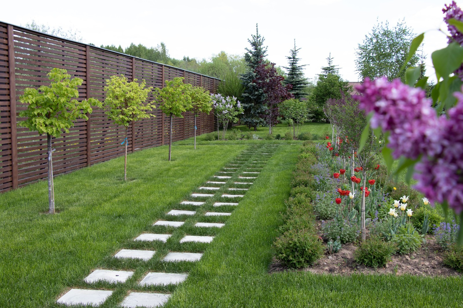 Сосновые берега