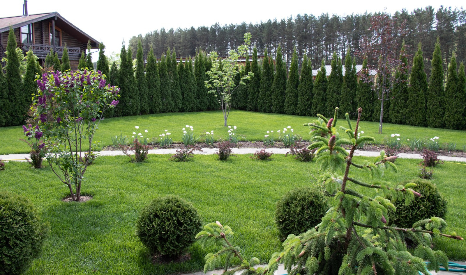 Сосновые берега