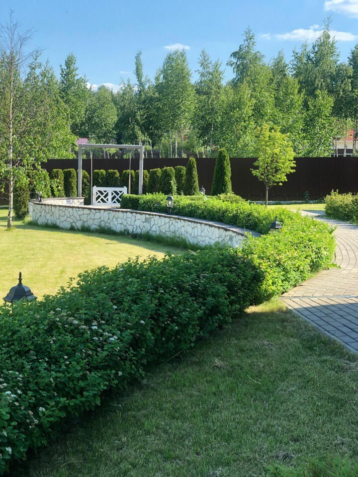 Сад "в процессе..."