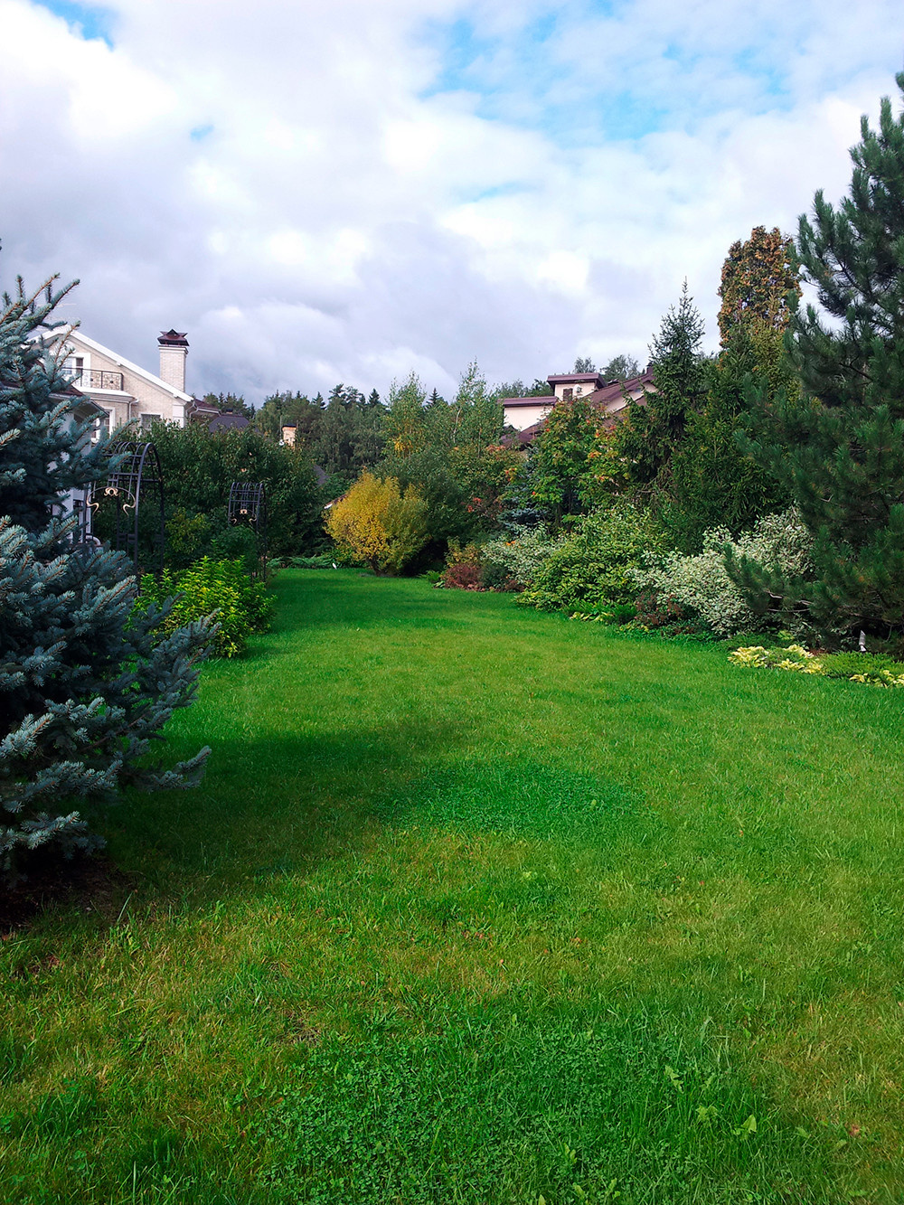 Ландшафтный дизайн участка 30 соток в поселке Павлово.