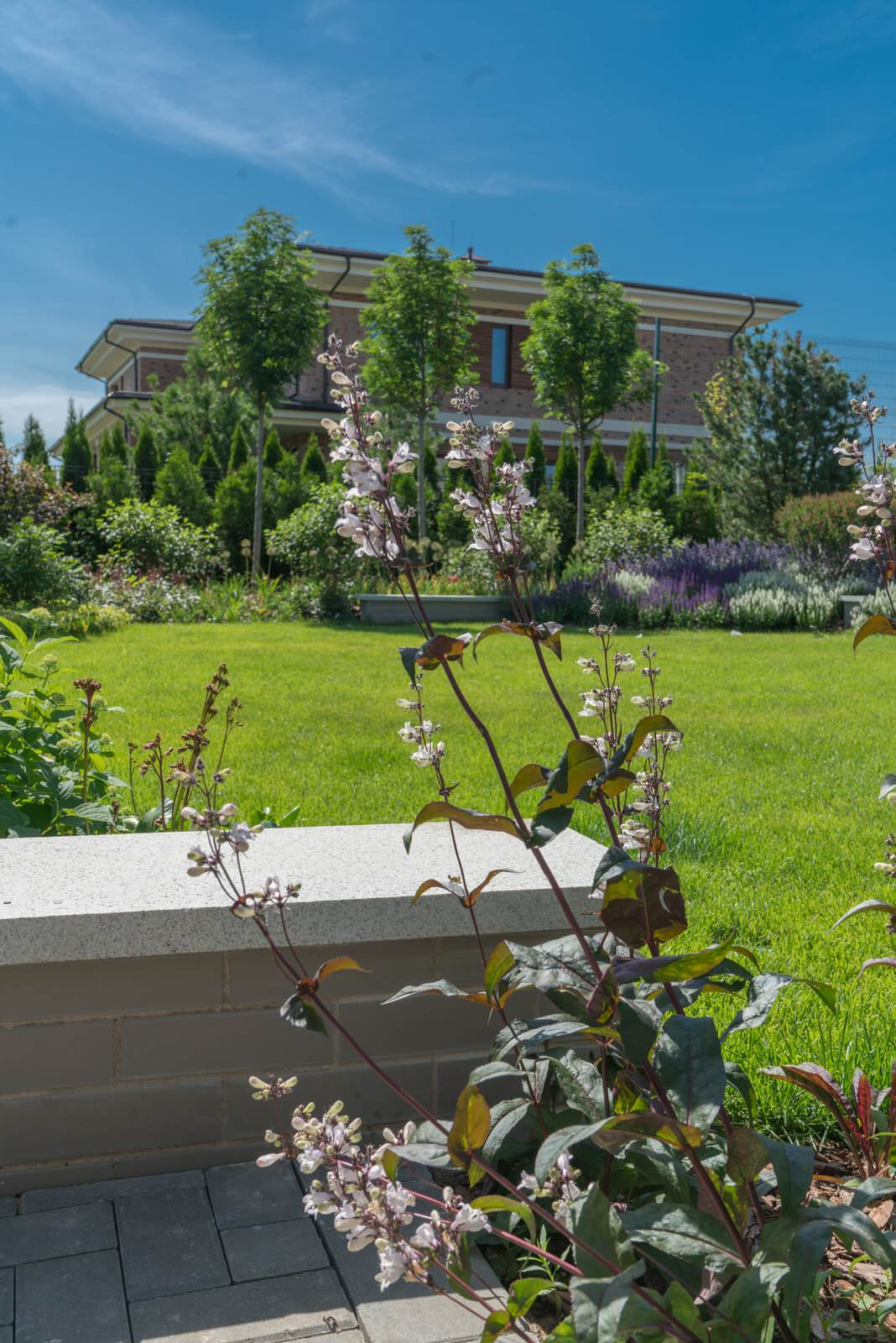 Цена проекта с фото: Сад на участке 20 соток за 13 112 836 ₽