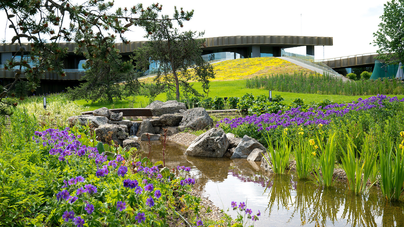 Обложка альбома: Альбом идей