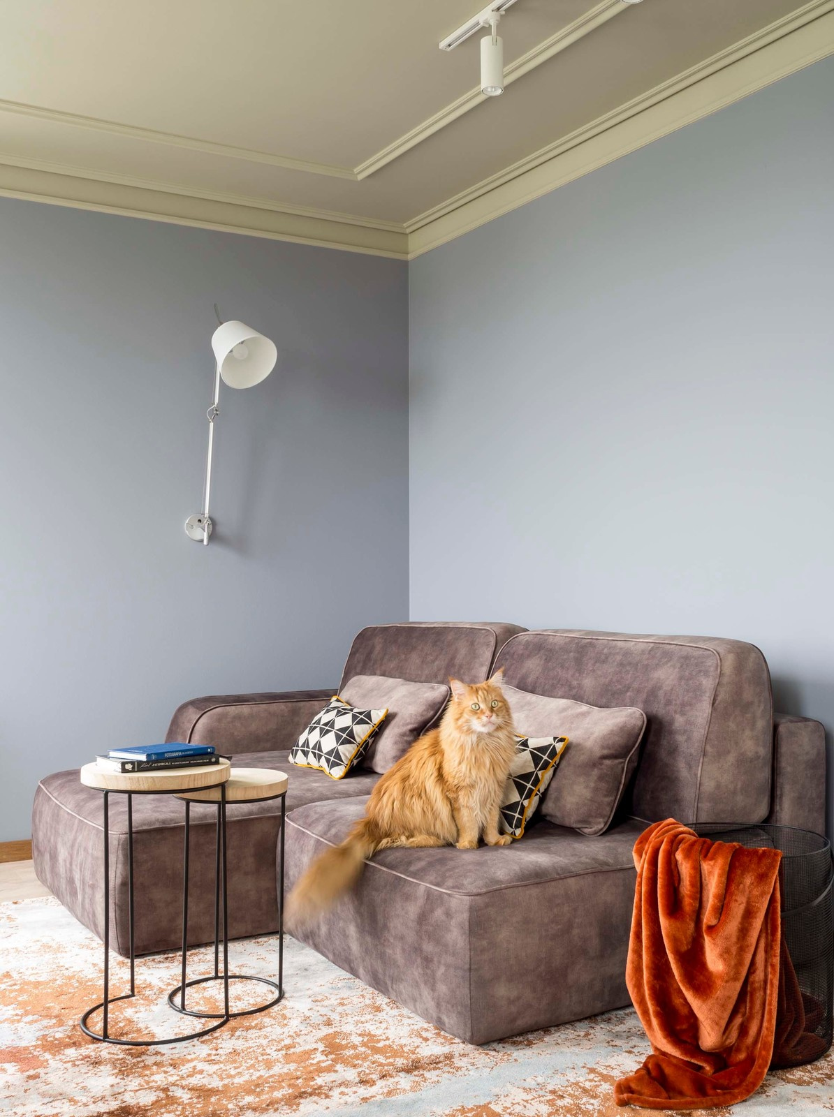 Houzz тур: Квартира в Нижнем Новгороде с яркими потолками