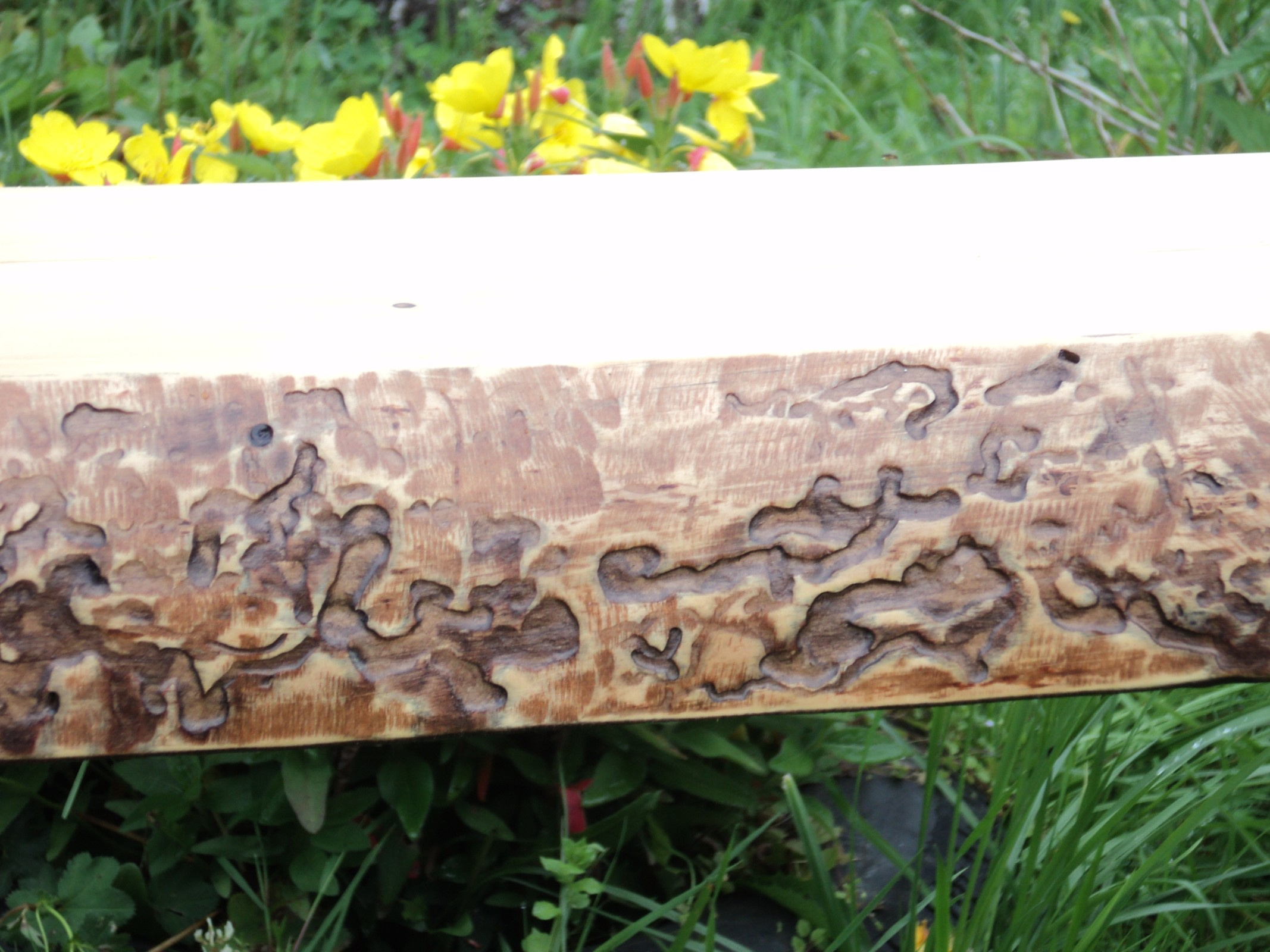 Скамейка деревянная