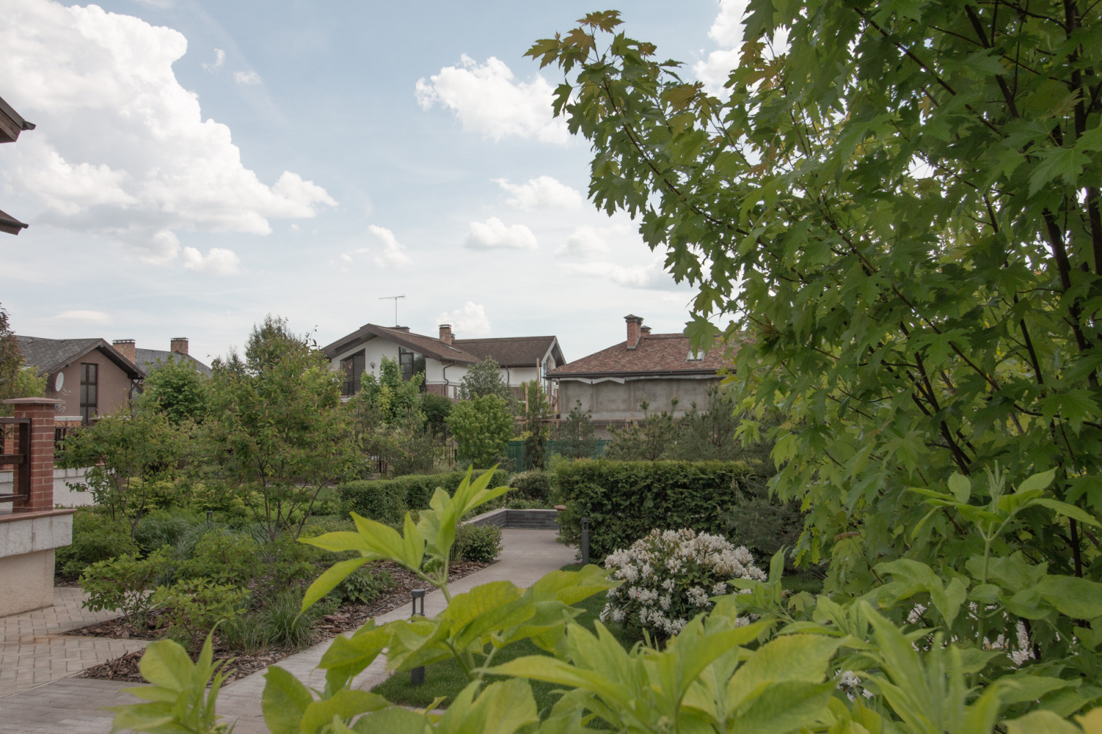 Опушкино_2019