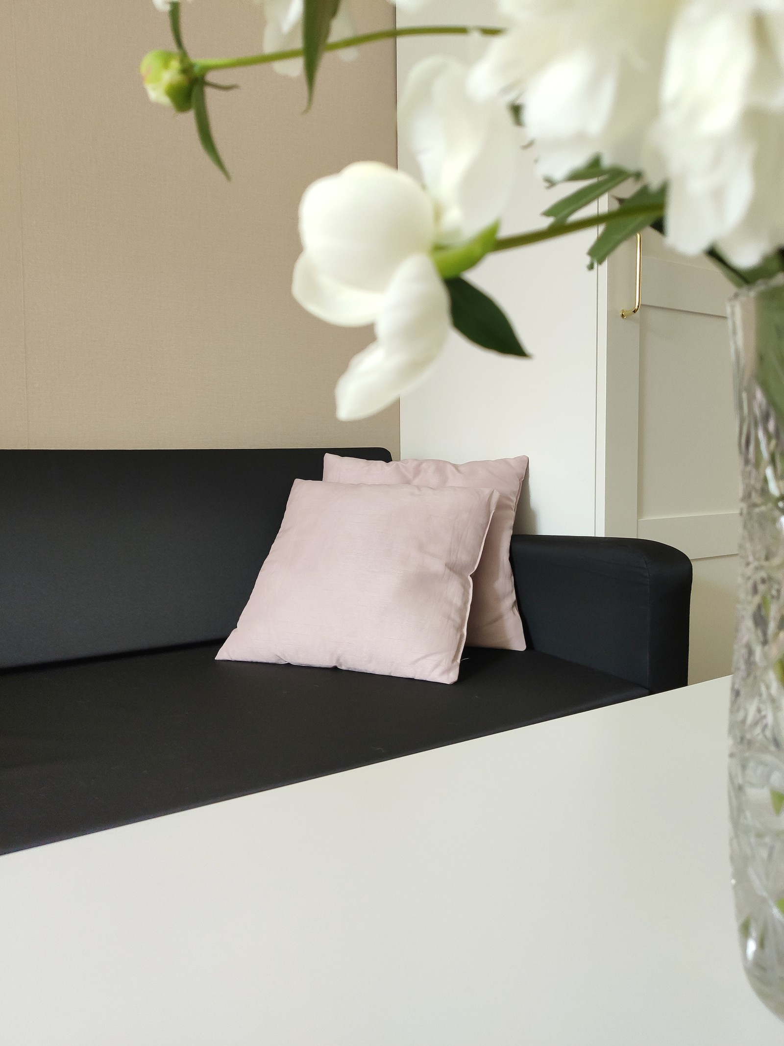 Спальня-гостиная 17.2 кв.м.