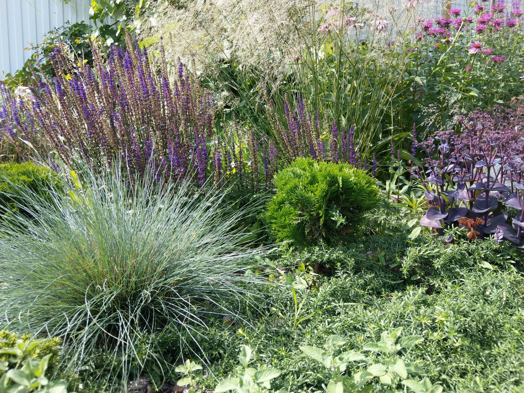 Светлана Татарникова