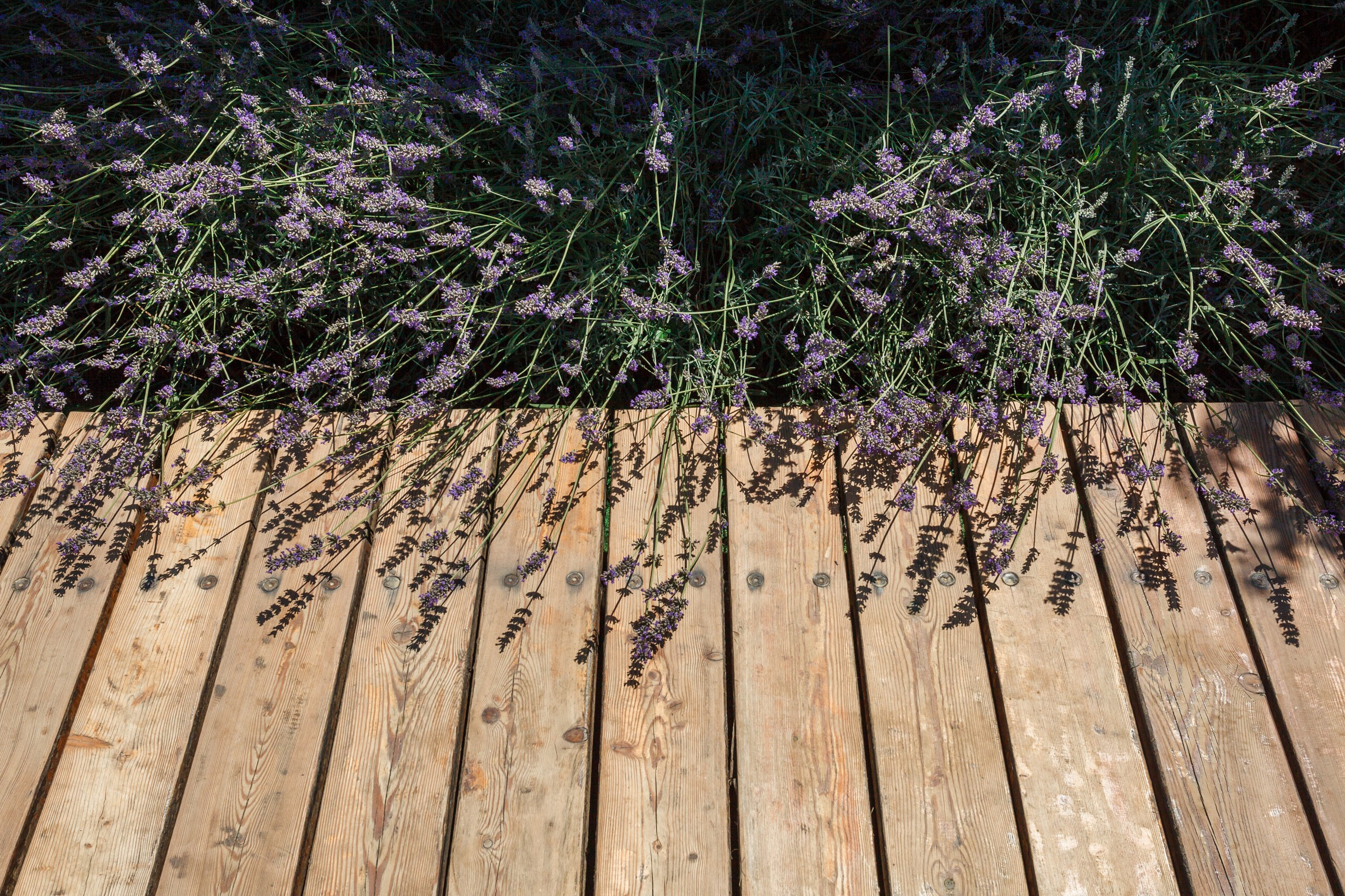 Бассейн.Территория.Частный дом.