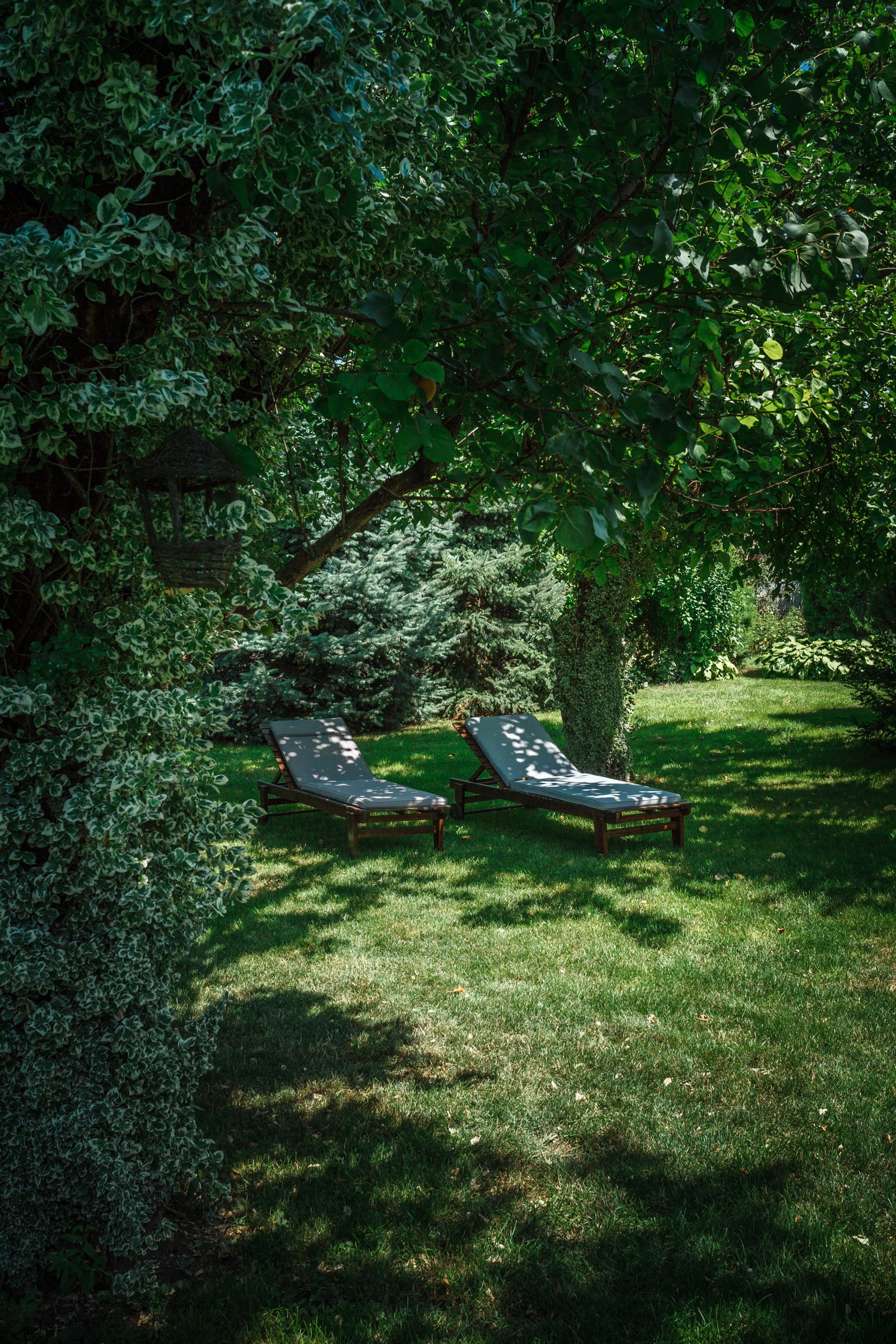 Бассейн.Территория.Частный дом.