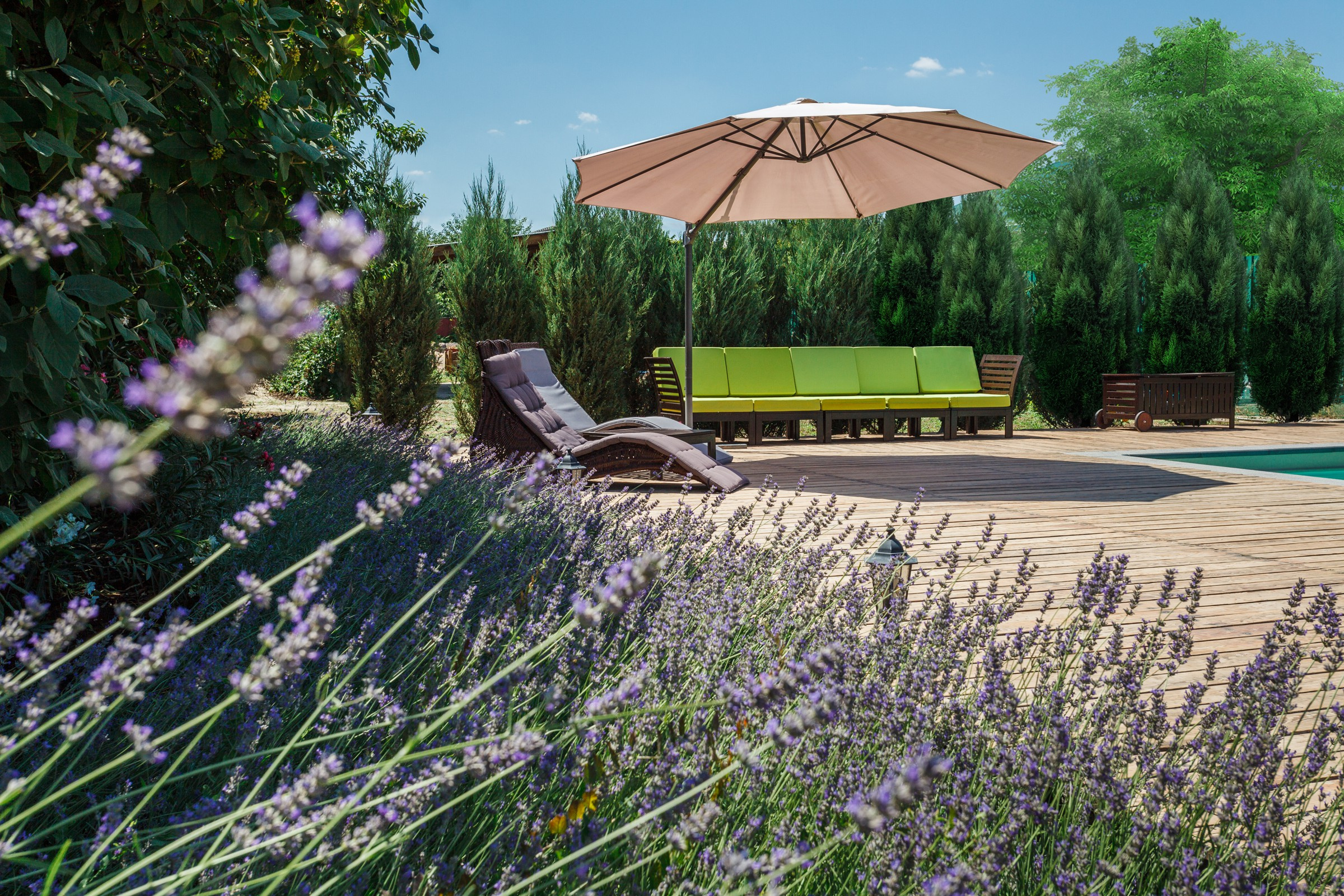 Бассейн.Территория.Частный дом.