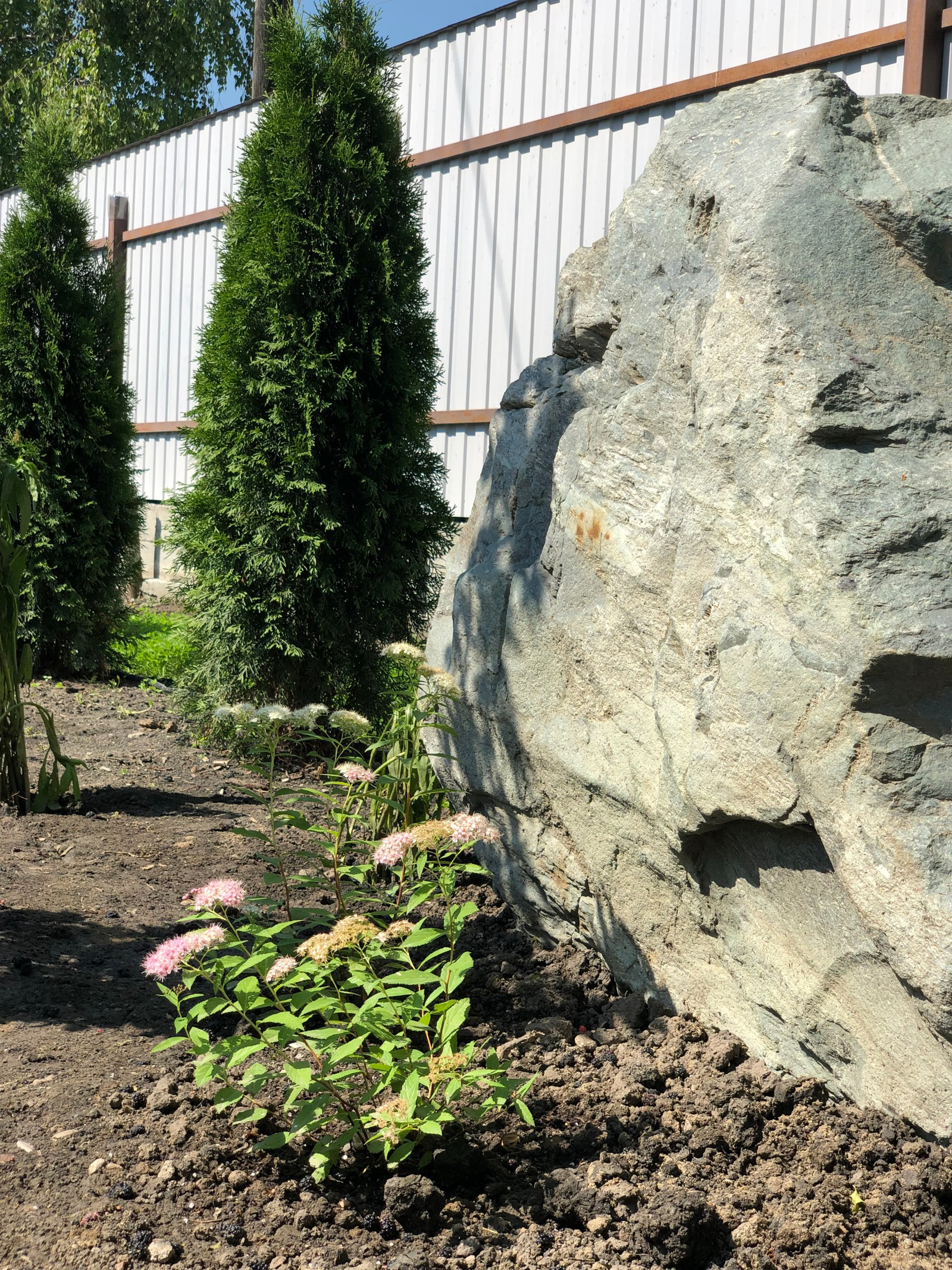 Привет, станица!