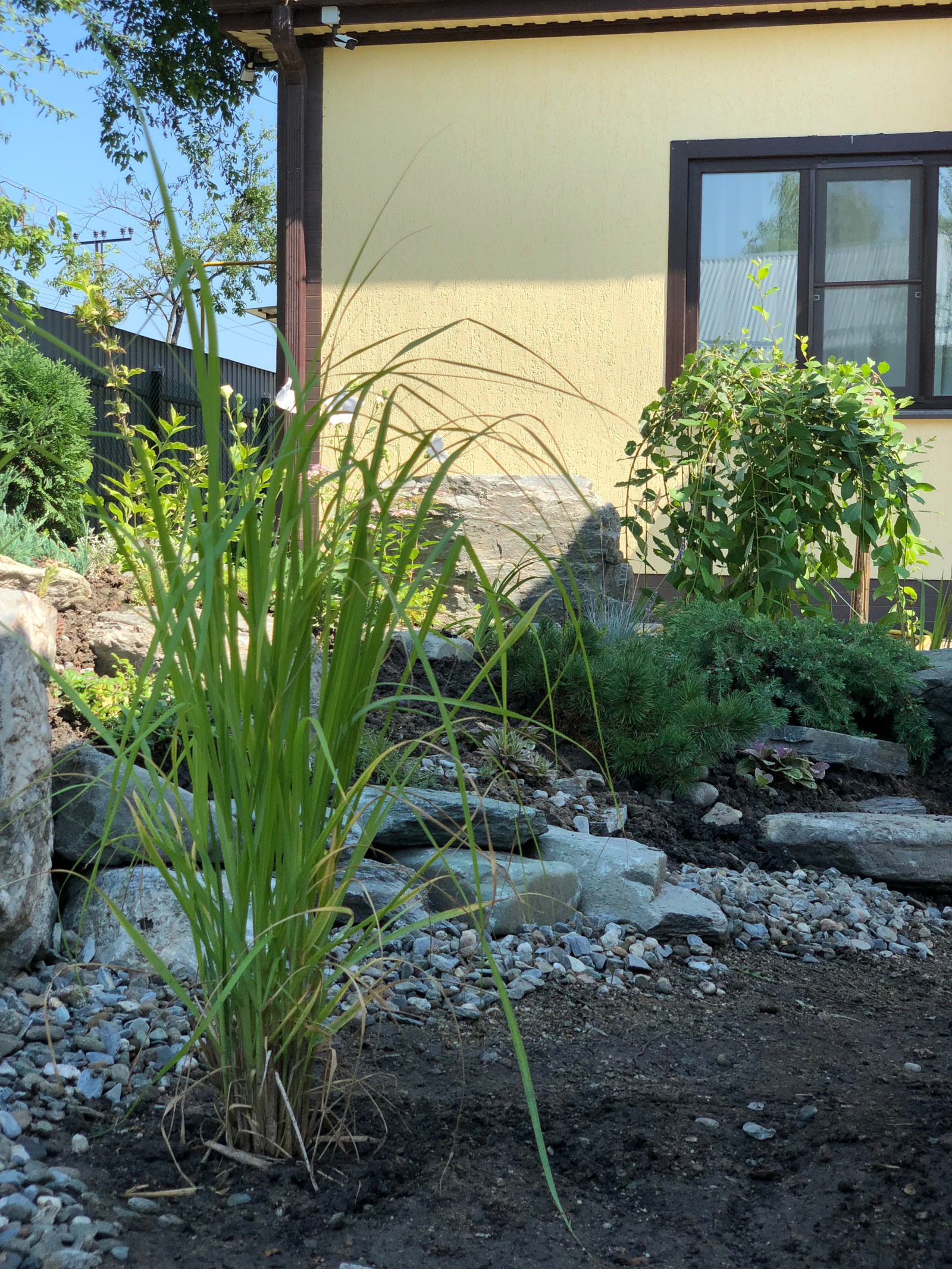 Привет, станица!