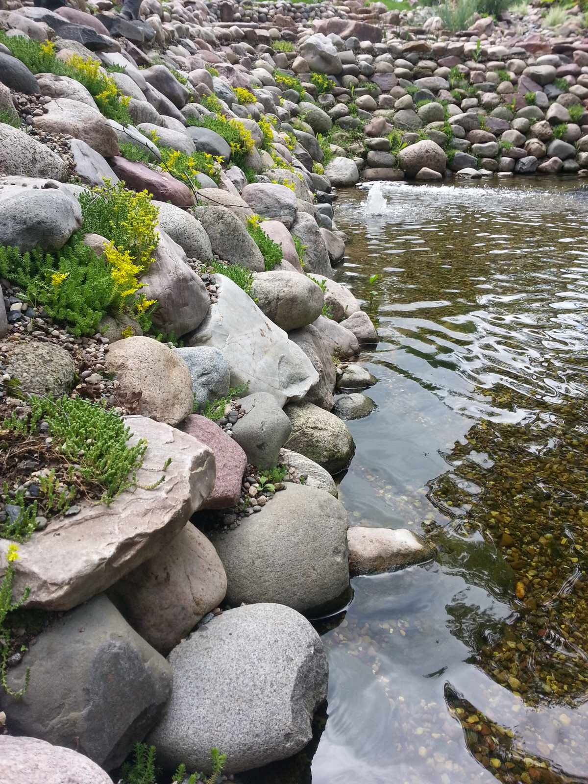 Плавательный водоём в п. Шава (Нижегородская область)