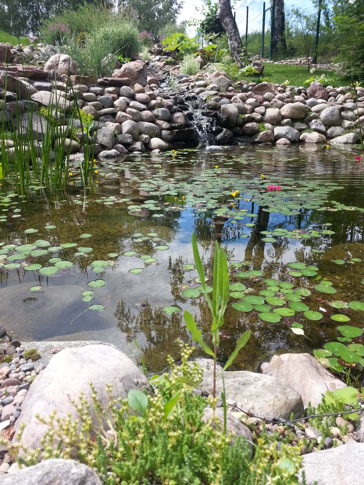 Плавательный водоём в п. Шава (Нижегородская область)