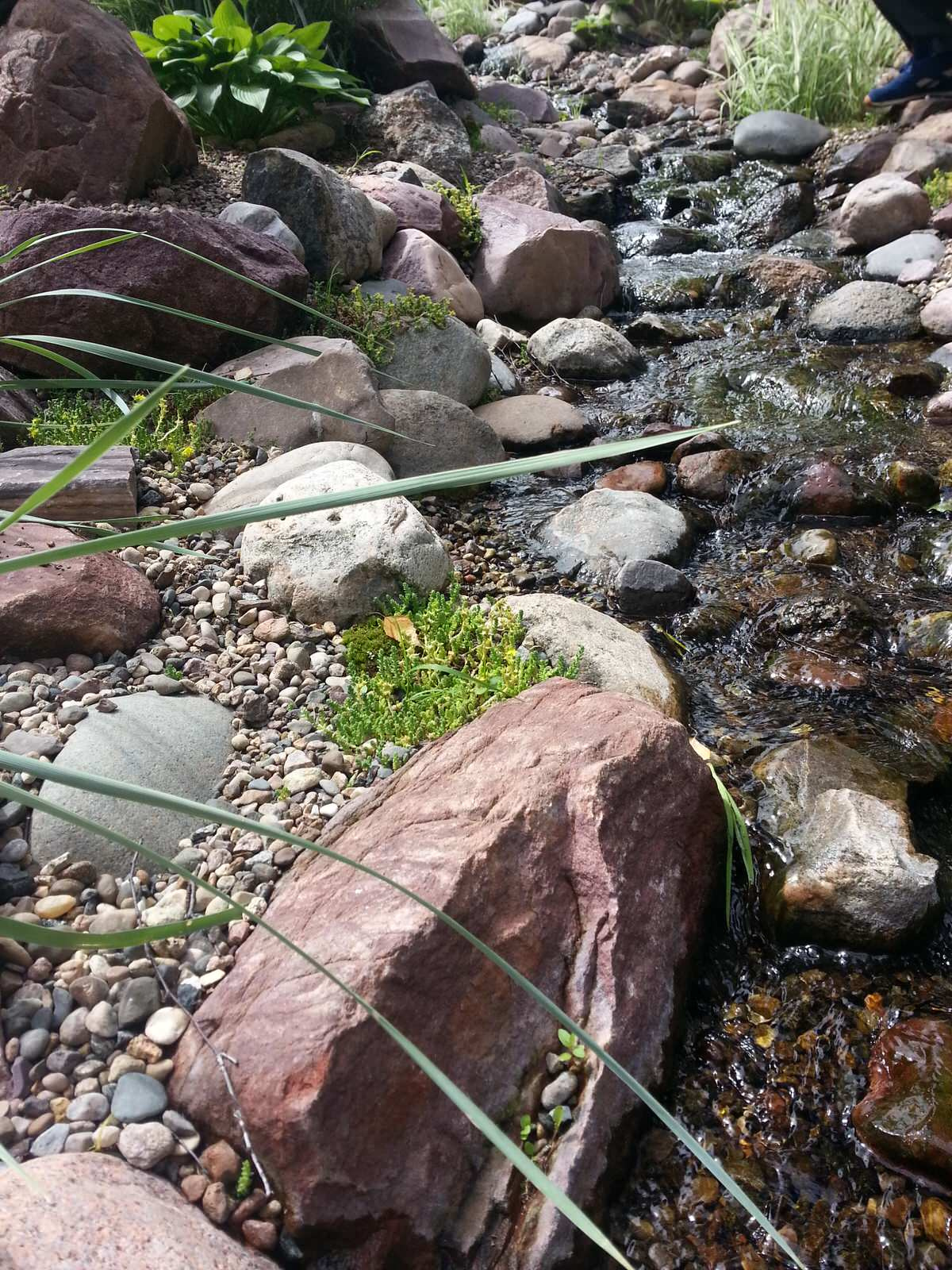 Плавательный водоём в п. Шава (Нижегородская область)