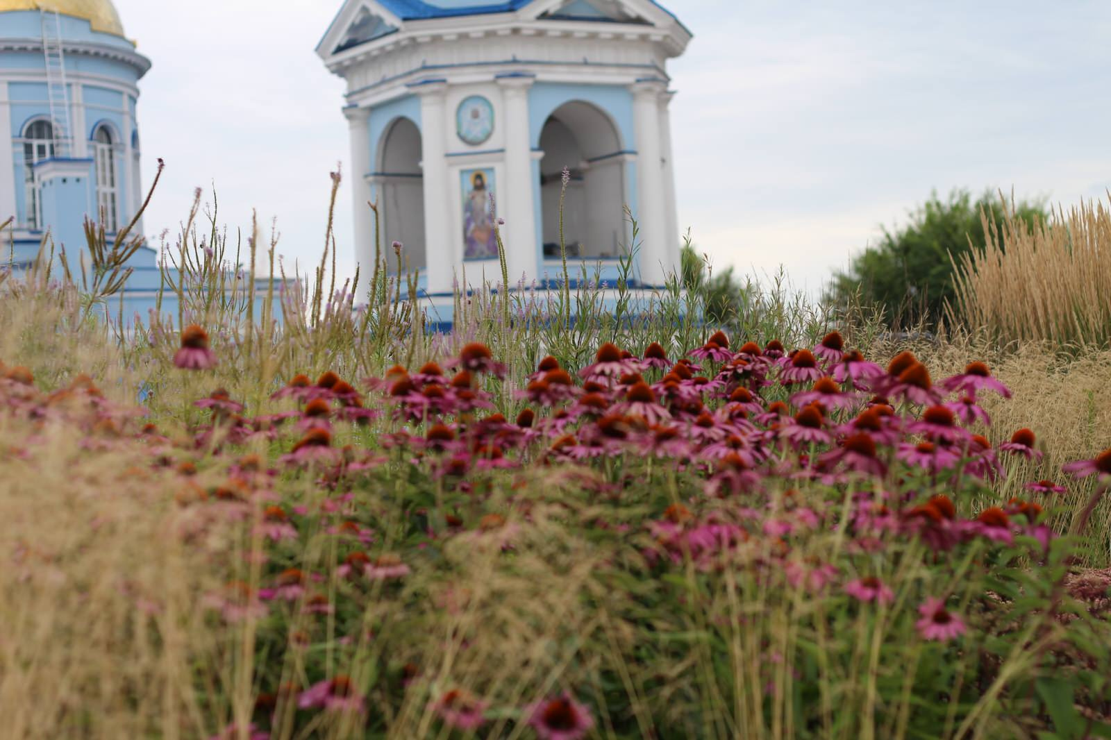 Цветники Советской площади