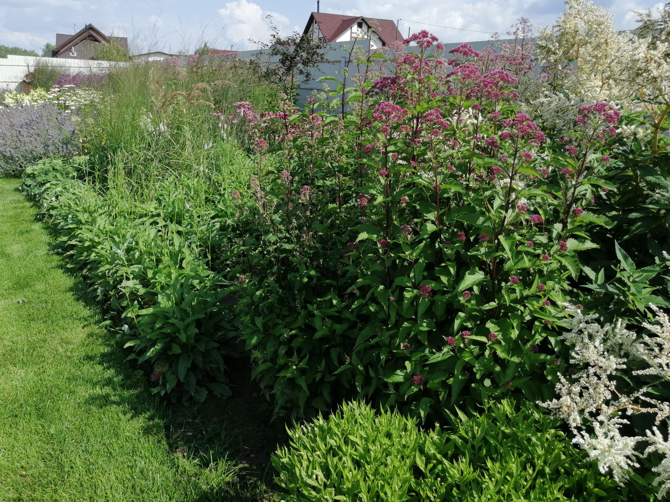 Подмосковный Прованс