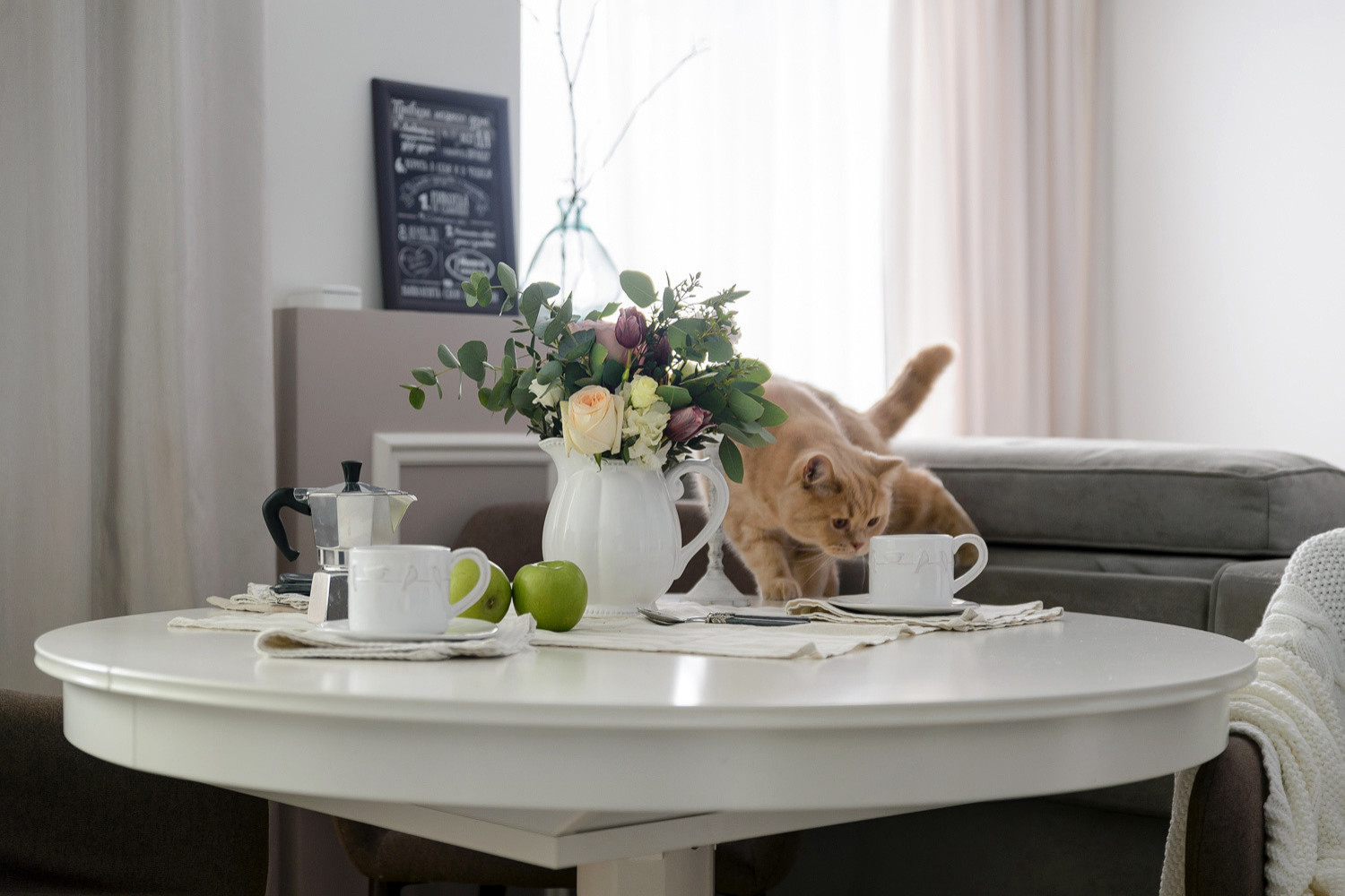 White line home