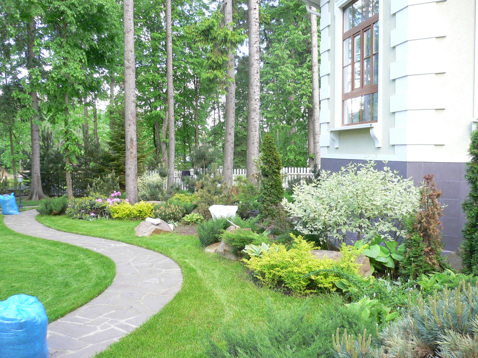 Бочаров Александр / Дерево.ру