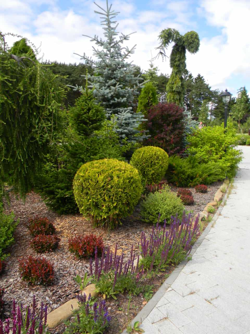 Фоновое изображение профиля Елена Удалова