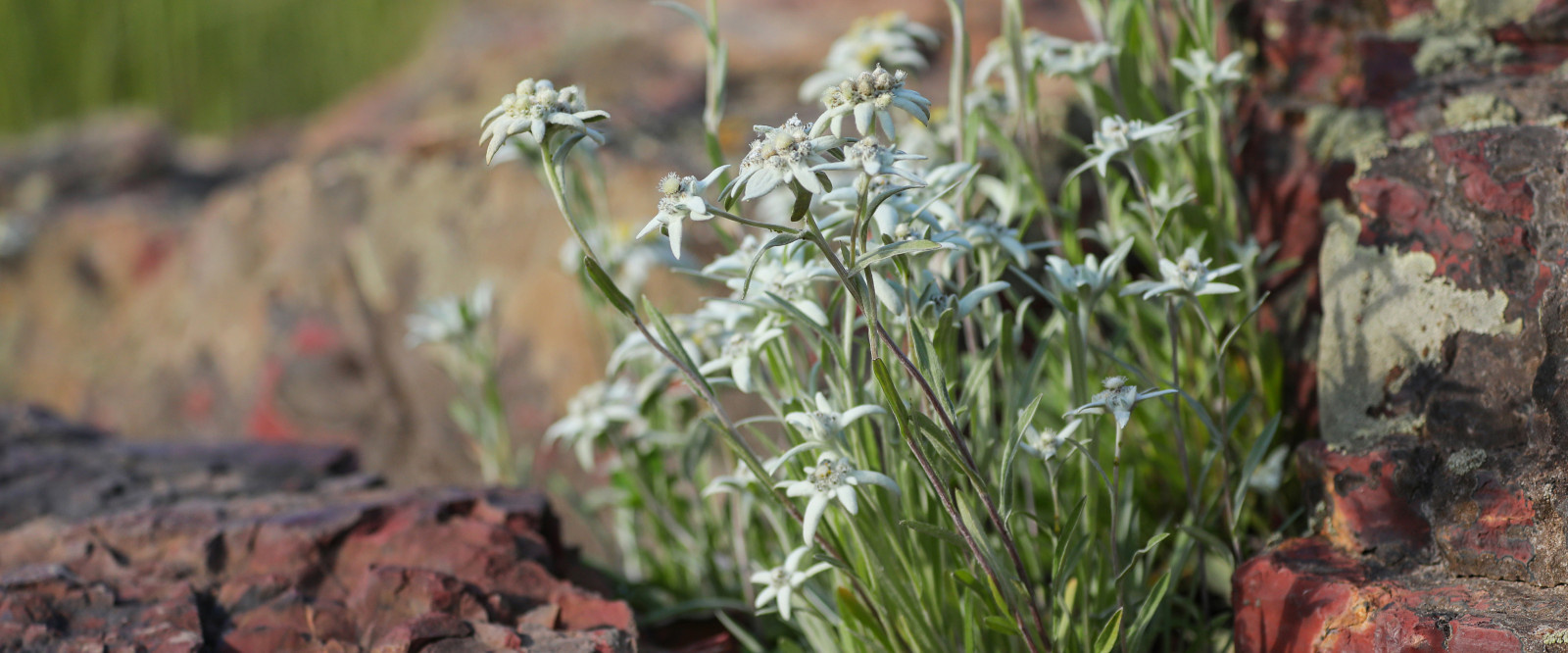 Фоновое изображение профиля Оксана Хлебородова
