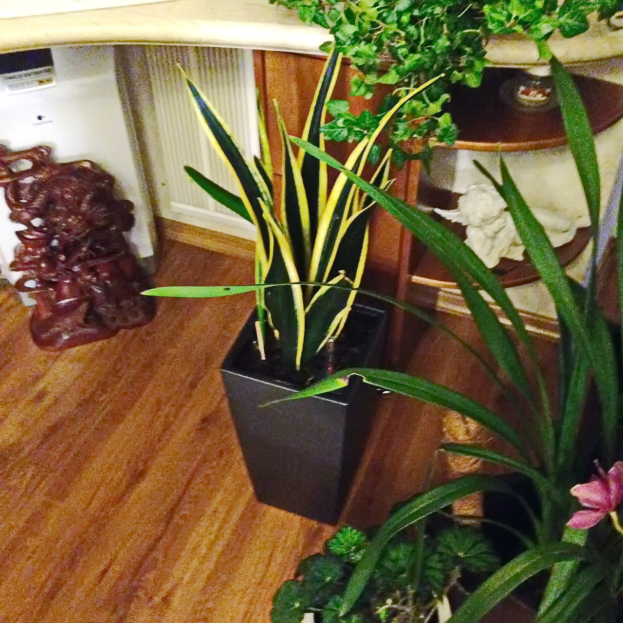 Озеленение частных квартир