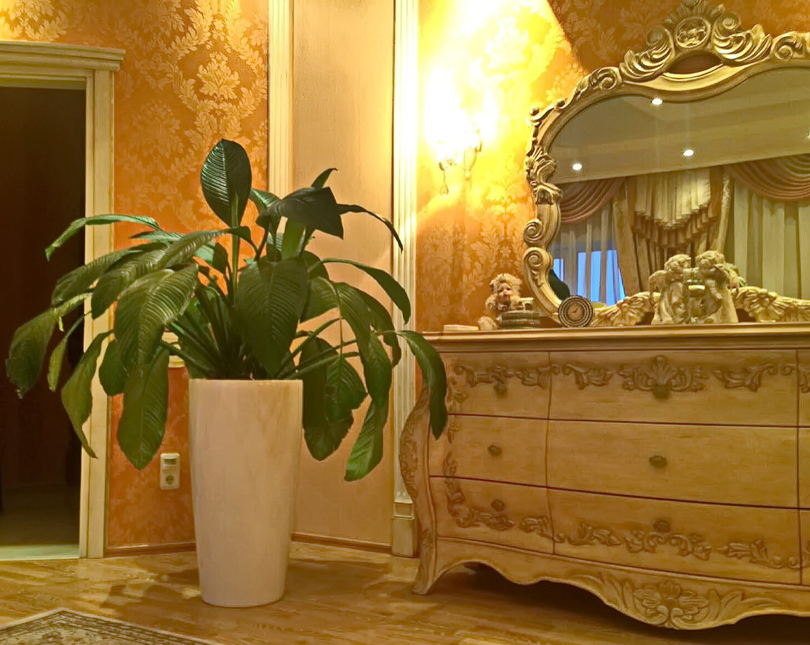 Озеленение частных квартир