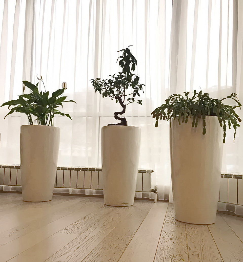 Озеленение частных квартир