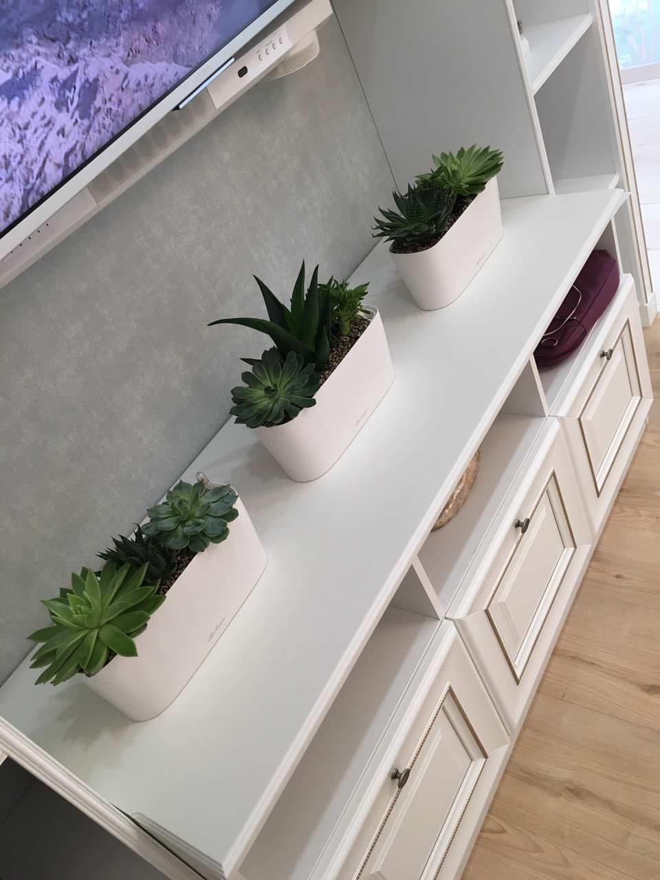 Озеленение частных квартир