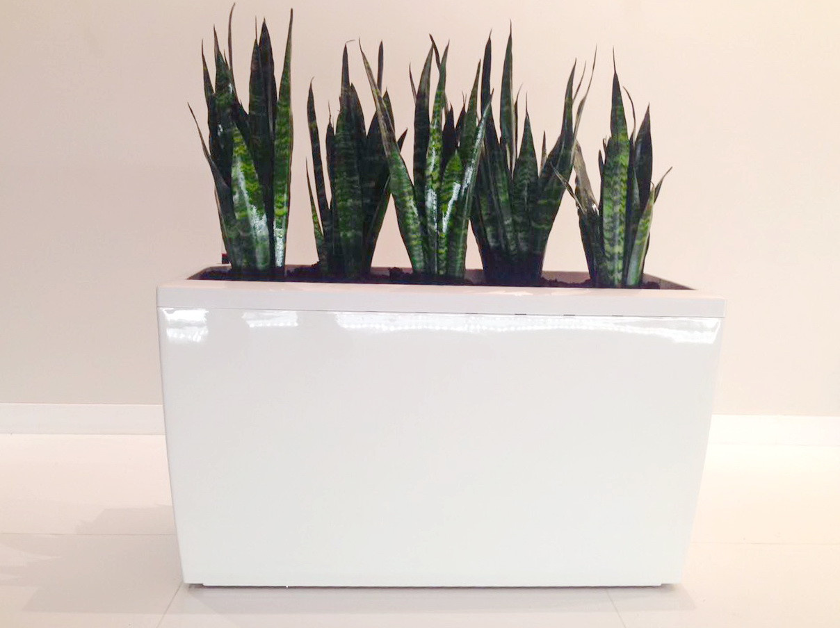 Озеленение частных квартир