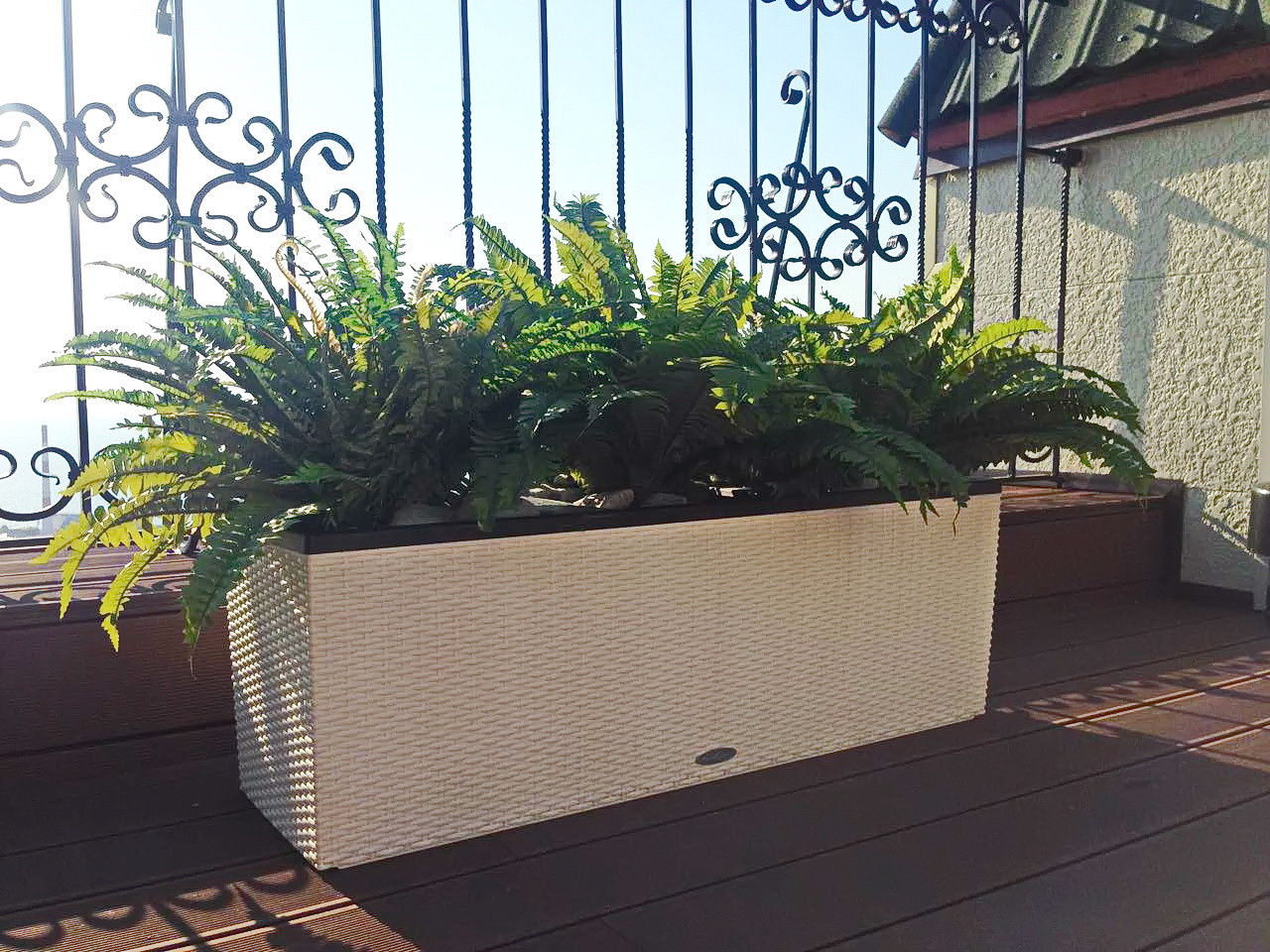 Озеленение частной крыши