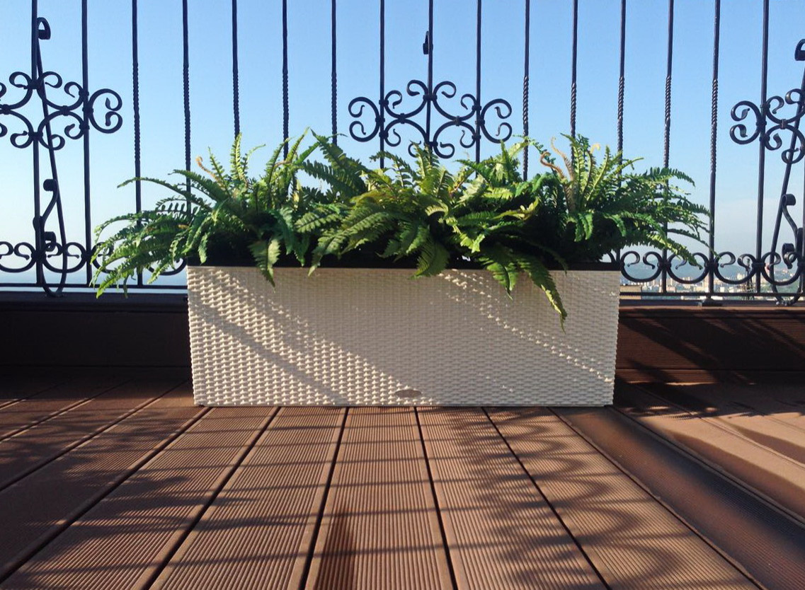 Озеленение частной крыши