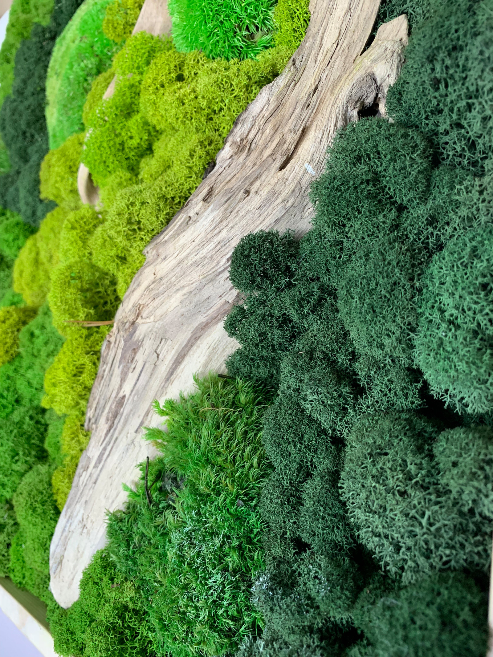Обложка проекта: Панно из стабилизированного мха Ягеля и кочек