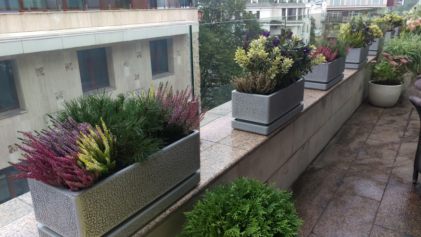 Сад на балконе