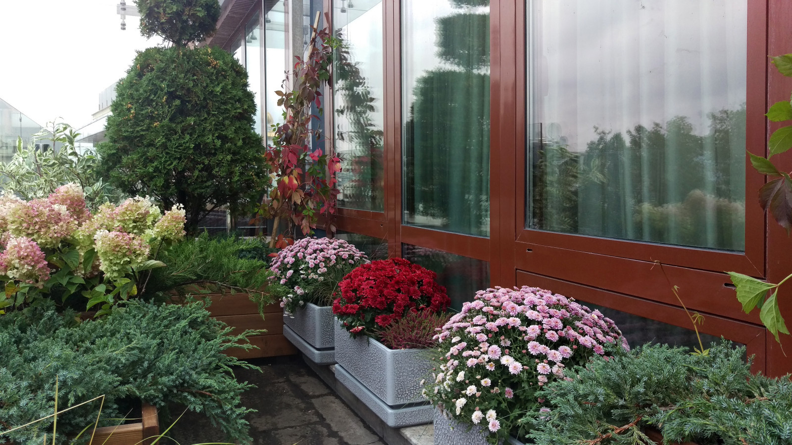 Сад на балконе