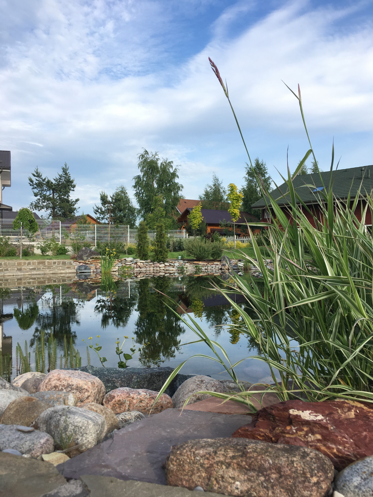 Озеленение декоративного водоема