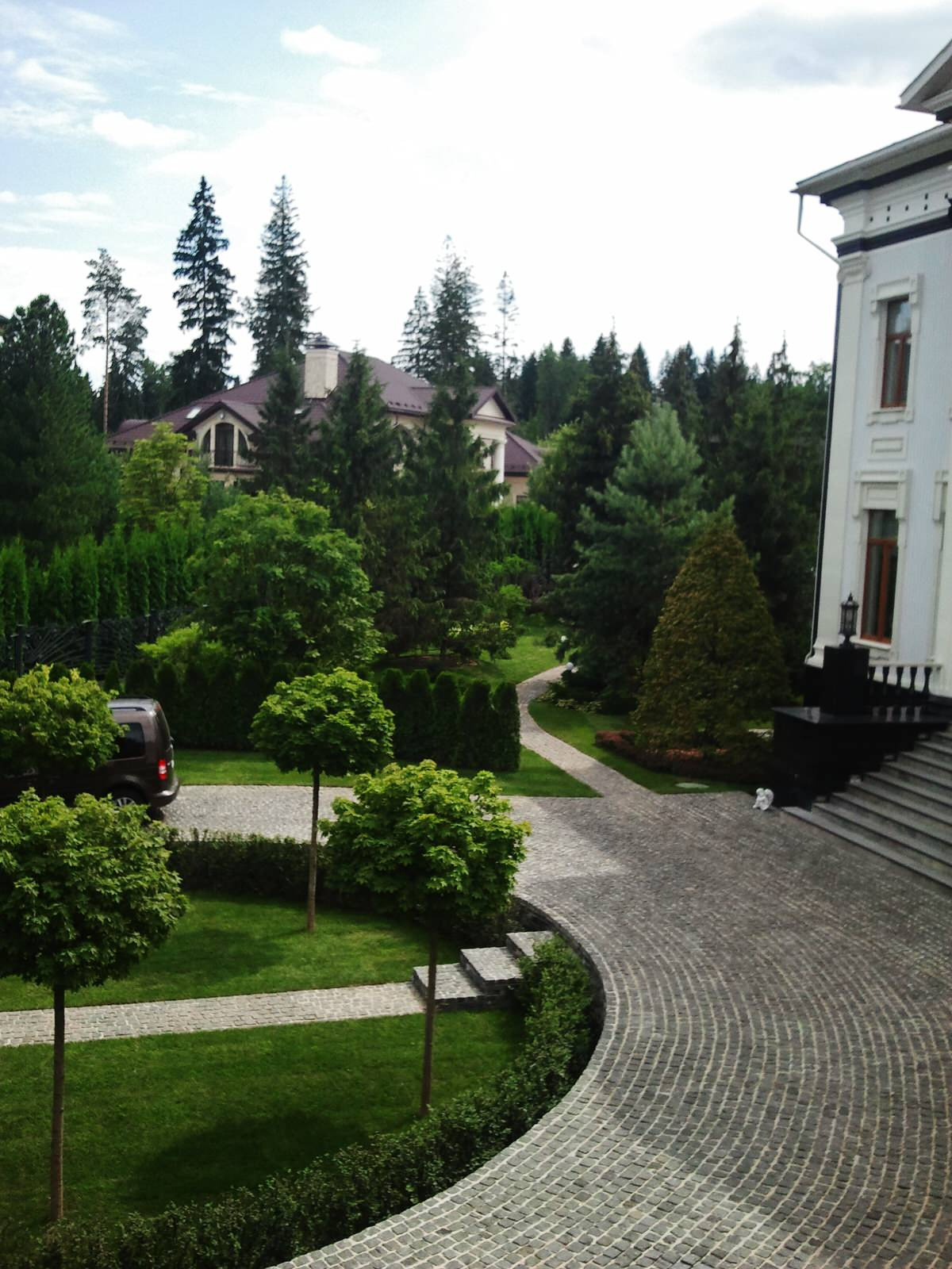Лесной сад