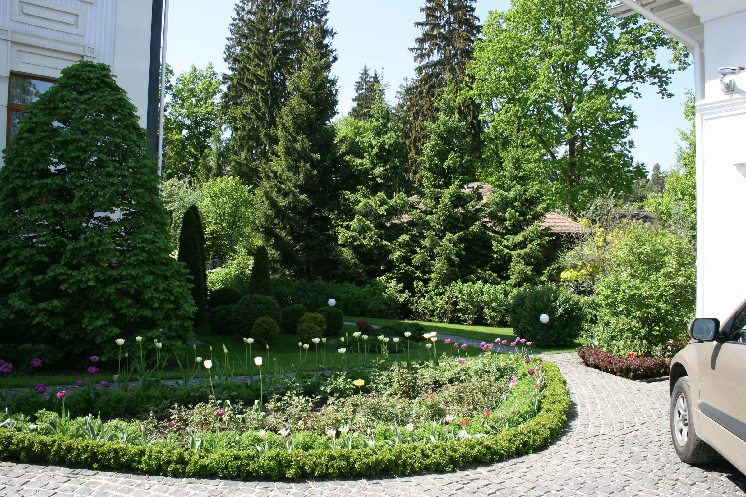 Лесной сад