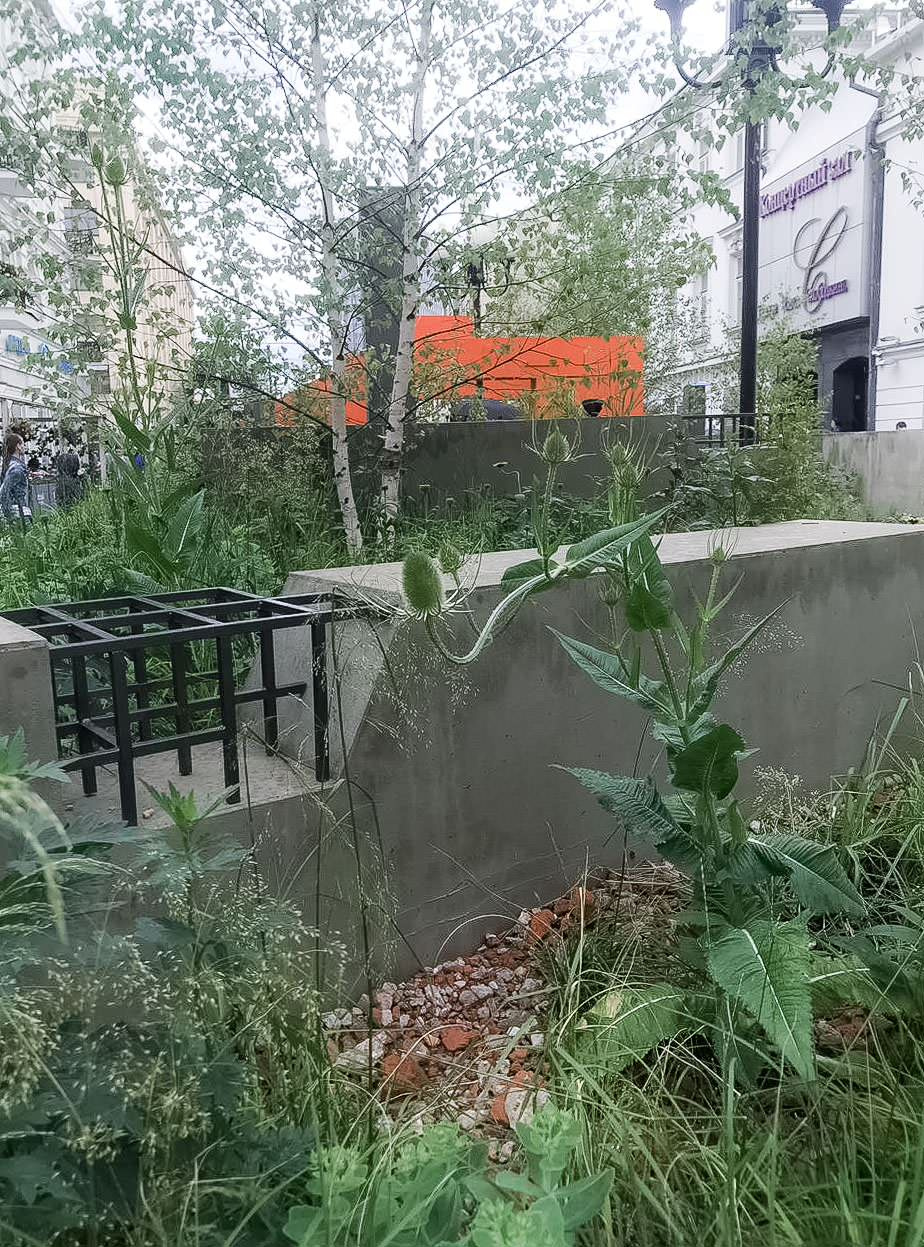 Выше крыши. Цветочный джем