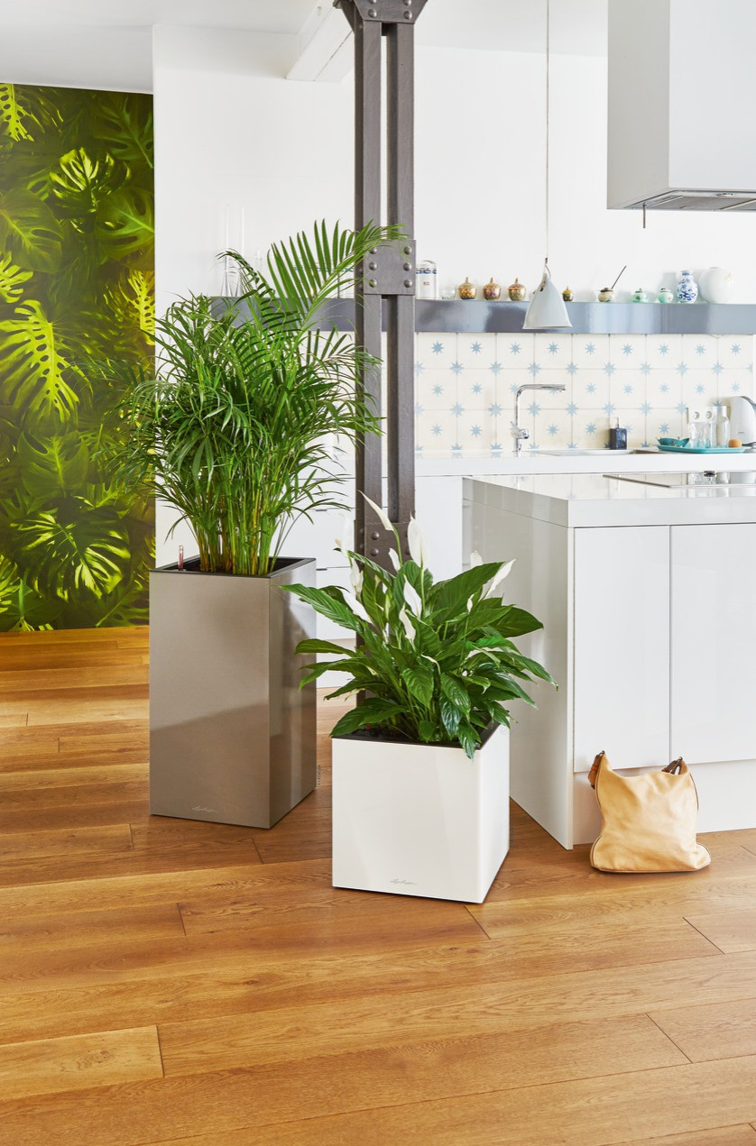 Обложка проекта: Новое в глянце!