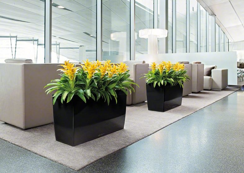 Обложка проекта: На вершине моды!