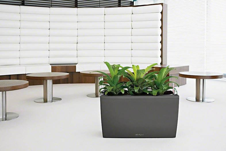 На вершине моды!