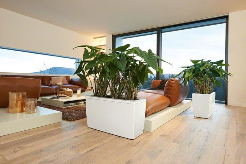 На вершине моды!