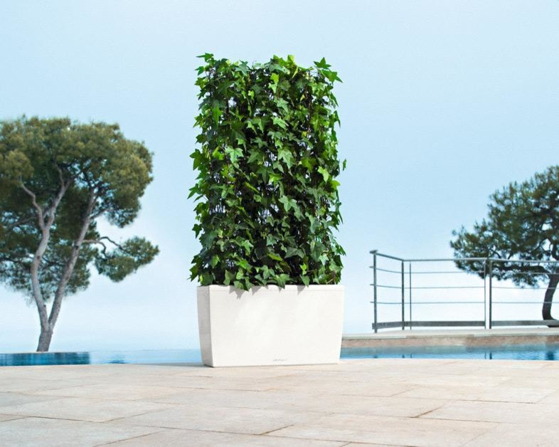 На вершине моды!