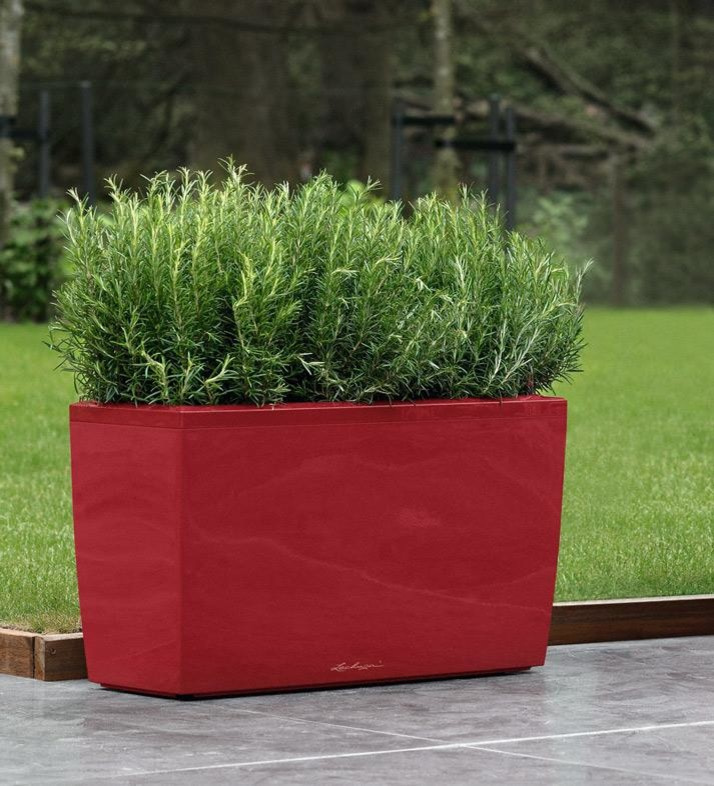 На вершине моды!