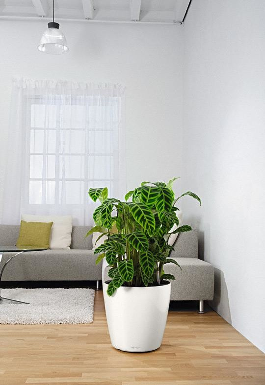 Обложка проекта: Неподвласные времени