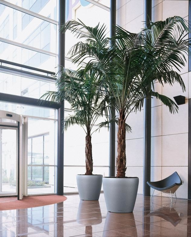 Неподвласные времени