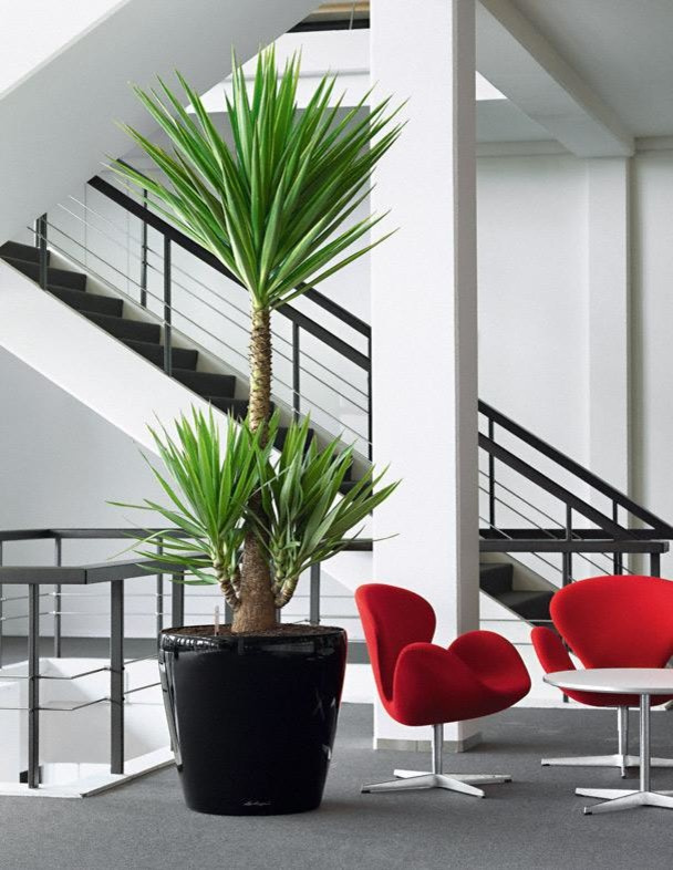 Неподвласные времени